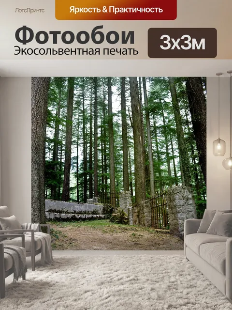 Фотообои Сосновый лес фоне 4