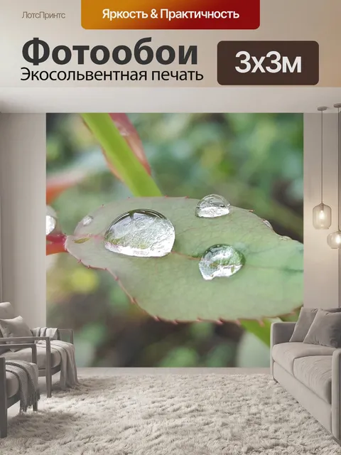 Фотообои Лист