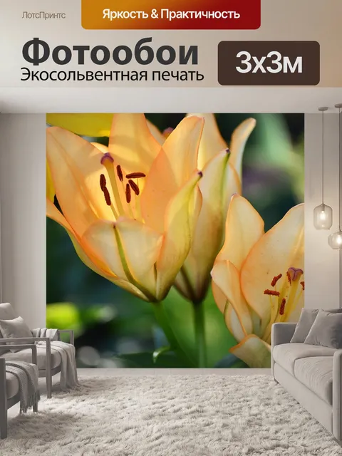 Фотообои Цветы