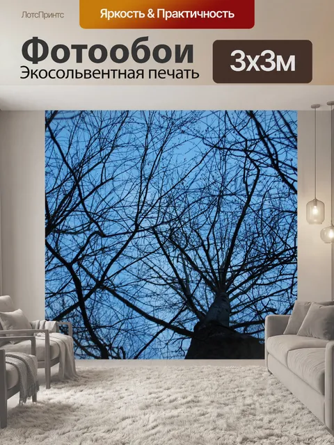 Фотообои Деревья и небо