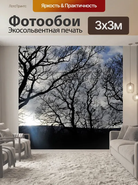 Фотообои Деревья