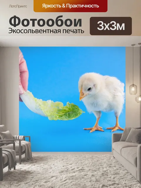 Фотообои Животное