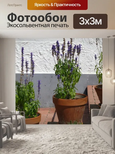 Фотообои Лаванда