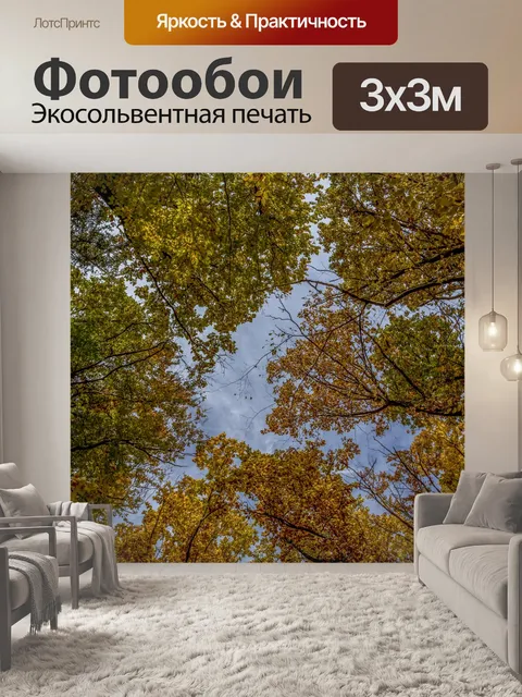 Фотообои Осенний лес