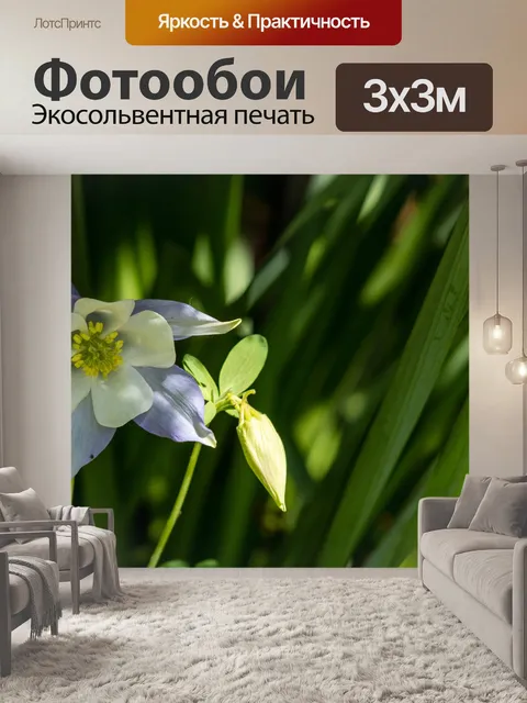 Фотообои Цветы