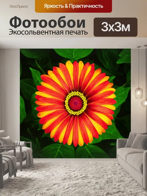 Фотообои цветы в стиле диаграммный рисунок