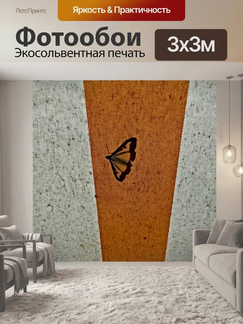 Фотообои Бабочка