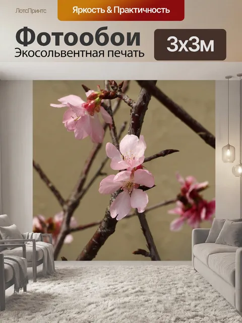 Фотообои 东势