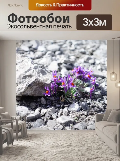 Фотообои Альпийский цветок