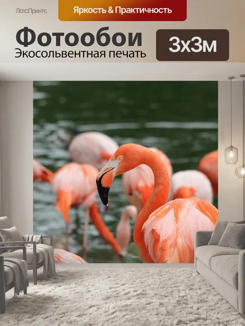 Фотообои Фламинго