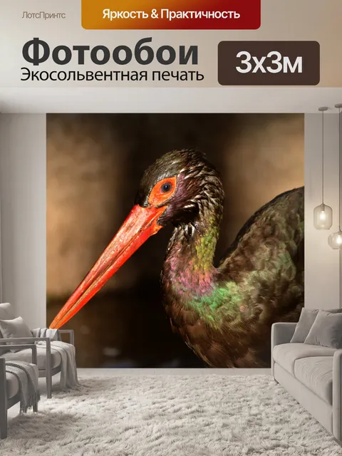 Фотообои Черный аист