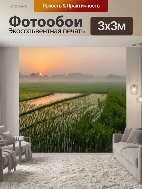 Фотообои китай: туманные рисовые поля на закате, где каждая капля воды отражает свет