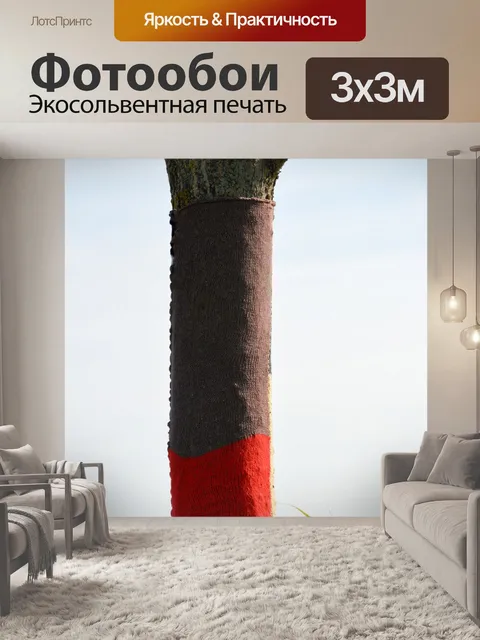 Фотообои Одетый деревья