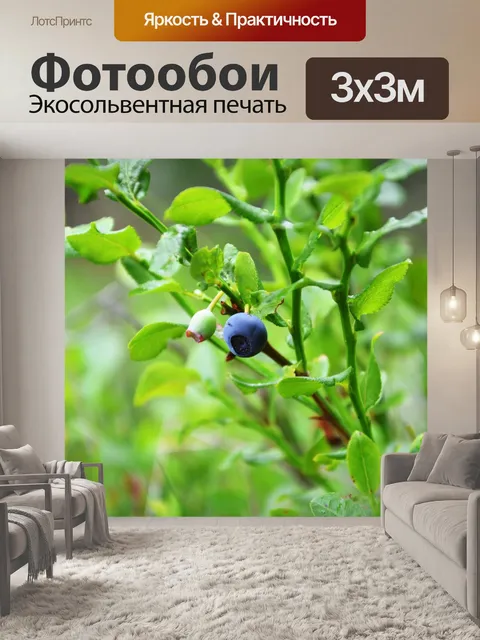 Фотообои Лес