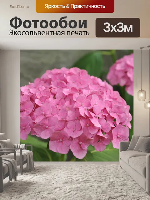 Фотообои Розовые гортензии