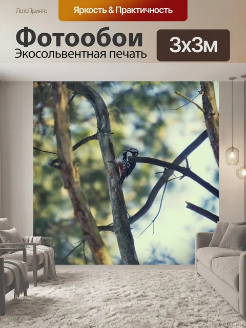 Фотообои Лес