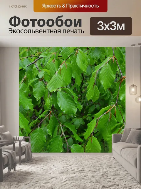 Фотообои Листья