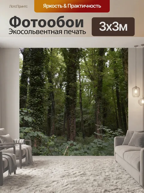 Фотообои Лес