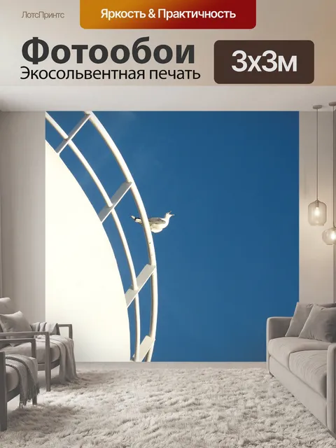 Фотообои Чайка