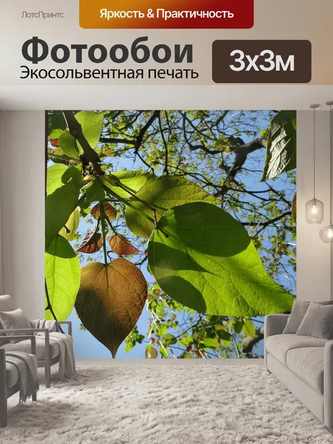 Фотообои Листья