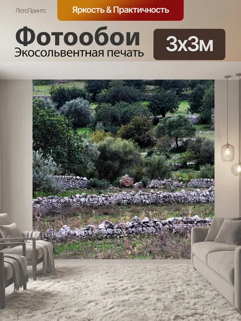 Фотообои Оливковое дерево
