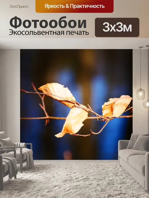 Фотообои Лист