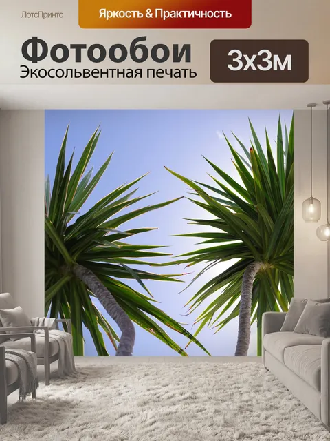 Фотообои Пальмы