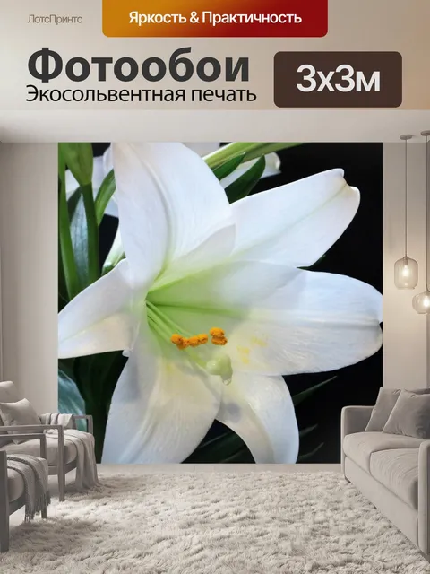 Фотообои Пасха лилии крупным планом