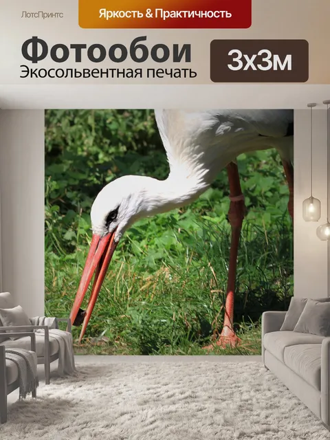 Фотообои Аист