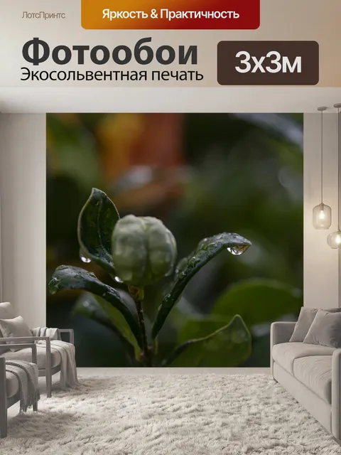 Фотообои Фон капли темного листа