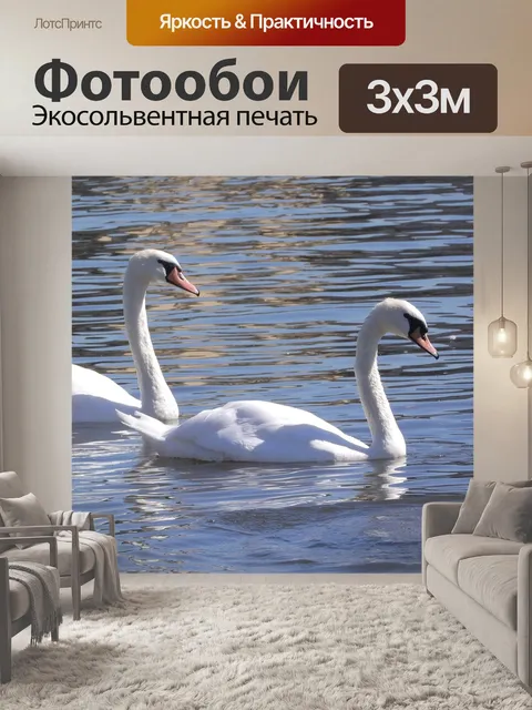 Фотообои Лебеди