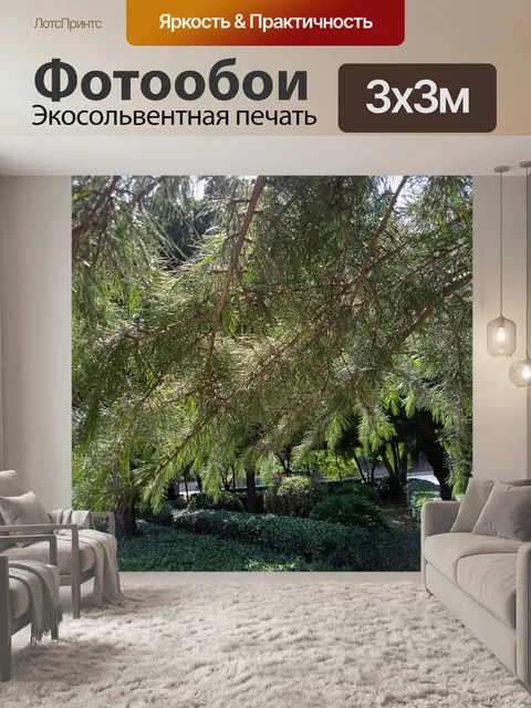Фотообои Сосна