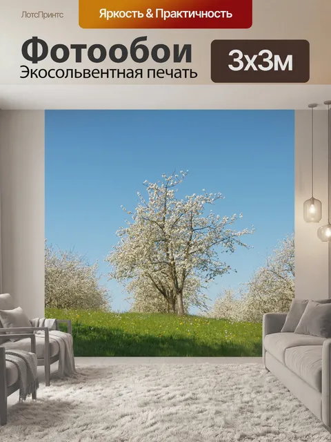 Фотообои Цветы вишни