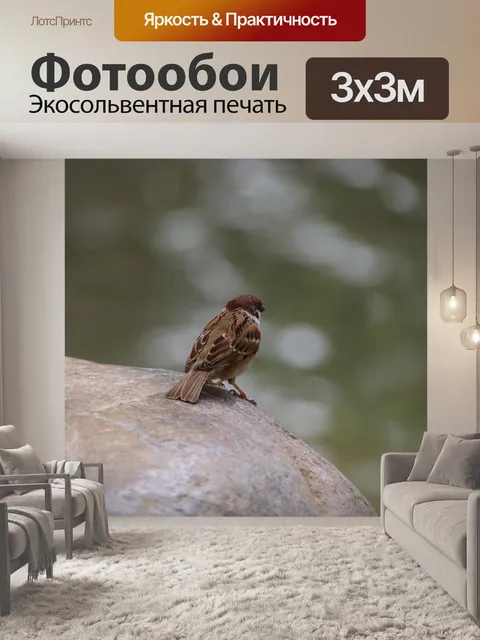 Фотообои Птица