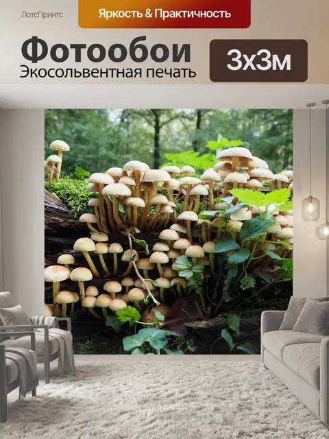 Фотообои Грибы