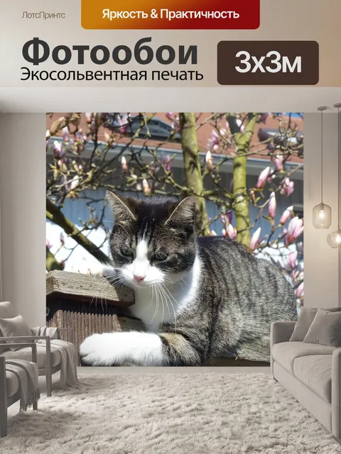 Фотообои Тигровый кот