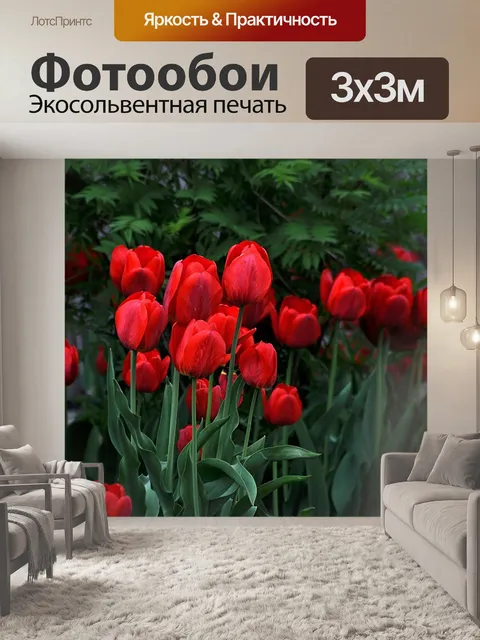 Фотообои Тюльпаны