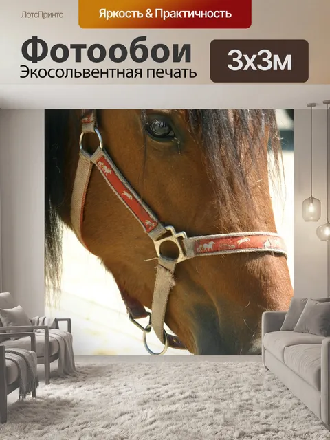 Фотообои Лошадь