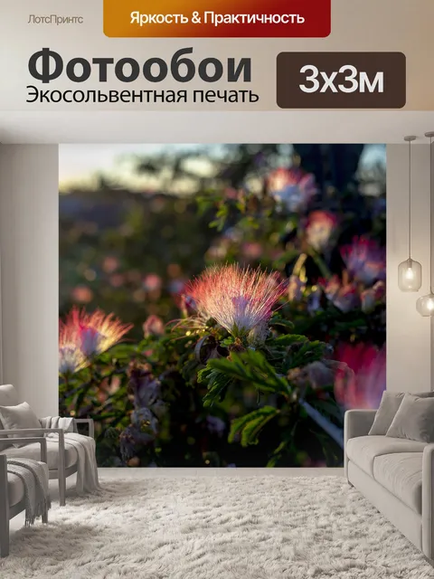 Фотообои Цветы