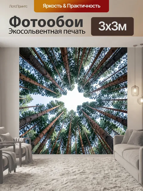 Фотообои Высокие сосны в небе