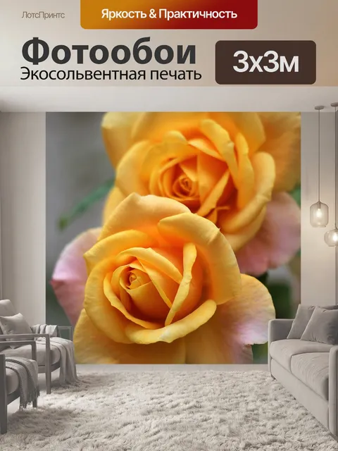 Фотообои Две розы золотая медаль
