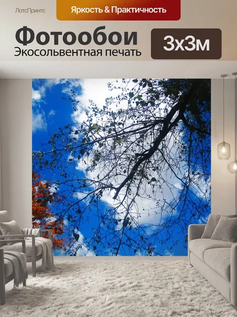 Фотообои ветки с редкими листьями