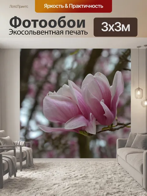 Фотообои Тюльпаны