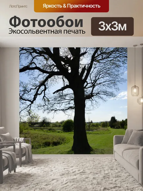 Фотообои Дерево