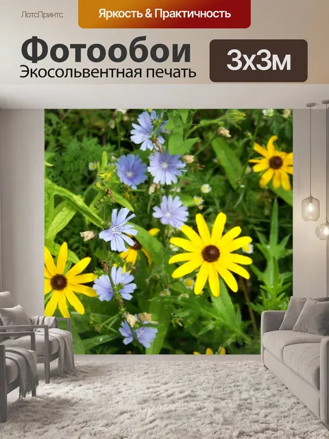 Фотообои Полевые цветы