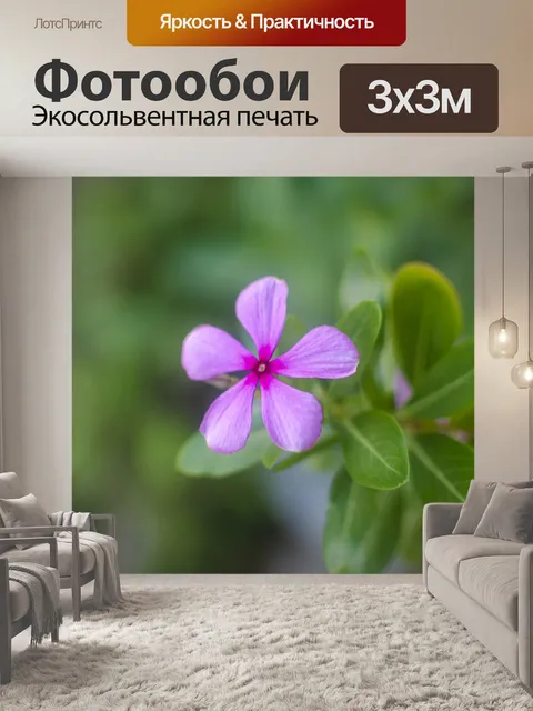 Фотообои Цветы