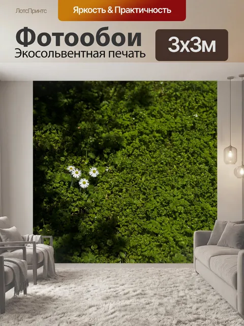 Фотообои 3 Ромашки в поле клевера