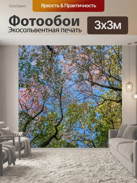 Фотообои Дикая гималайская вишня, Чианг Рай