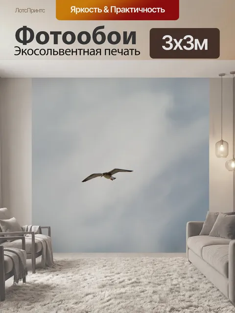Фотообои Птица