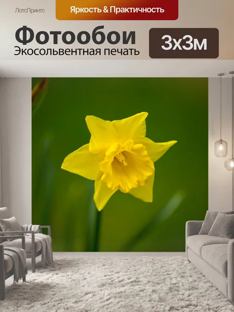 Фотообои Пасха Цветы